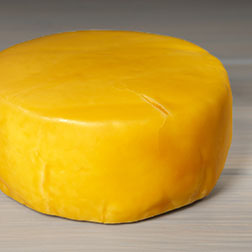 gouda